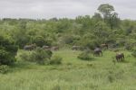 safrica_dec_13_image1.jpg